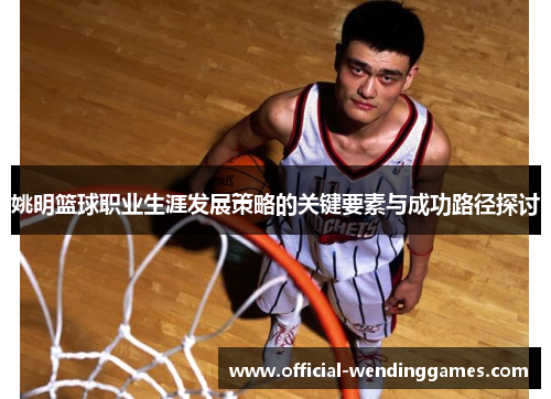姚明篮球职业生涯发展策略的关键要素与成功路径探讨