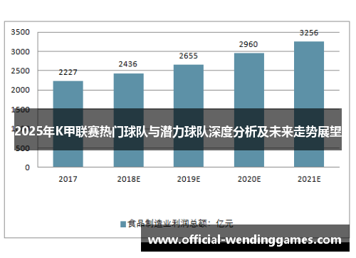 2025年K甲联赛热门球队与潜力球队深度分析及未来走势展望