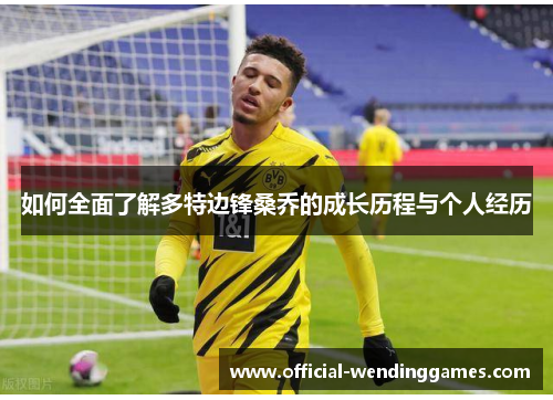 如何全面了解多特边锋桑乔的成长历程与个人经历