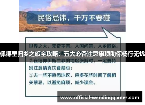 佩德里归乡之旅全攻略：五大必备注意事项助你畅行无忧