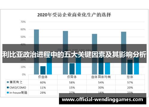 利比亚政治进程中的五大关键因素及其影响分析