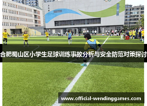 合肥蜀山区小学生足球训练事故分析与安全防范对策探讨