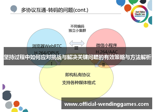 坚持过程中如何应对挑战与解决关键问题的有效策略与方法解析