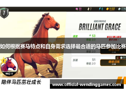 如何根据赛马特点和自身需求选择最合适的马匹参加比赛