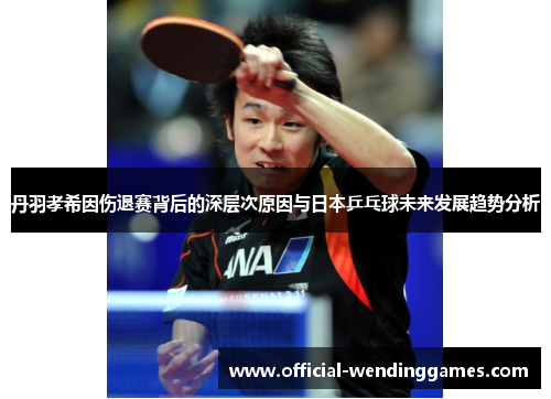 丹羽孝希因伤退赛背后的深层次原因与日本乒乓球未来发展趋势分析