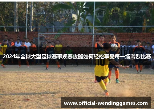 2024年全球大型足球赛事观赛攻略如何轻松享受每一场激烈比赛